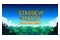 Stardew Valley 2 Nintendo Switch