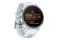 Smartwatch Garmin Forerunner 170 Biało-szary