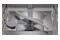 Zmywarka do zabudowy Bosch SMD6ECX17E