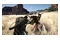 Crimson Desert Edycja Day One PlayStation 5