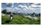 Crimson Desert Edycja Day One PlayStation 5