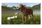 Farming Simulator 25 Beans & Alpacas PC