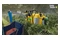 Farming Simulator 25 Beans & Alpacas PC