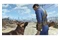 2 Fallout 4 Edycja Rocznicowa Nintendo Switch