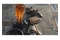 2 Fallout 4 Edycja Rocznicowa Nintendo Switch