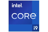 Laptop Dream Machines 17.3" Intel Core i9-14900HX NVIDIA GeForce RTX 5070 Ti 32GB 1TB SSD M.2 czarny