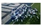 2 EA Sports MADDEN NFL 27 Nintendo Switch