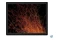 Laptop Lenovo ThinkPad X1 13.3" Intel Core i5-L16G7 INTEL UHD 8GB 512GB SSD windows 10 professional czarny