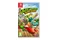 Gigantosaurus Gigantozaur Dino Kart Nintendo Switch