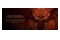 Diablo IV Age of Hatred Collection 2 Nintendo Switch