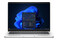 Laptop DELL Pro 14 14.0" AMD Ryzen AI 5 PRO 340 AMD Radeon 840M 32GB 512GB SSD M.2 Windows 11 Professional srebrny