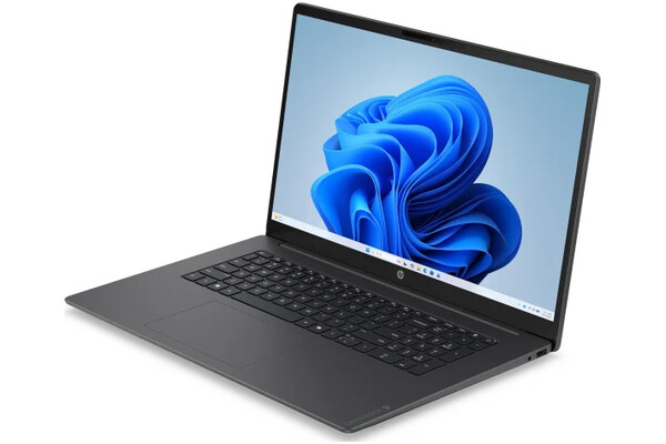 Laptop HP Omnibook 3 17.3" AMD Ryzen 5 40 AMD Radeon 610M 16GB 256GB SSD M.2 Windows 11 Home szary