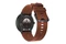 Smartwatch Polar Ignite 3 kolor obudowy zegarkabrązowy kolor paskabrązowy