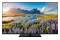 Telewizor Panasonic TV65W85BEZ 65" 4K Ultra HD
