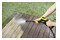 Myjka ciśnieniowa Karcher K4 Power Control Flex