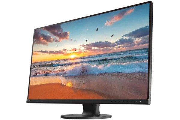 Monitor 31.5" EIZO ColorEdge CS3200X czarny