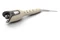 suszarko-lokówka Philips BHB887/00 2300W kolor Kolor