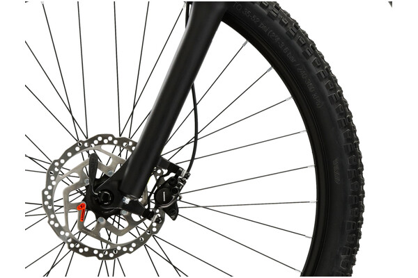 Rower elektryczny Indiana E-MTB U19 rama L koło 29.0cal