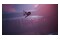 Directive Edycja 8020 PlayStation 5