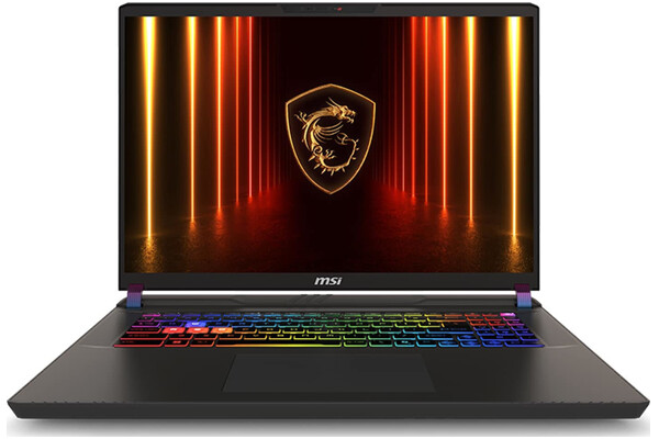 Laptop MSI Vector 17 17.0" Intel Core Ultra 9-275HX NVIDIA GeForce RTX 5090 32GB 1TB SSD szary