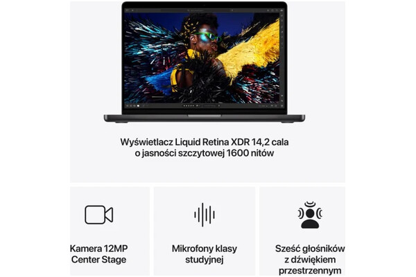 Laptop Apple MacBook Pro 14.2" Apple M4 Pro M4 Pro (20 rdz.) 48GB 1TB SSD macOS gwiezdna czerń