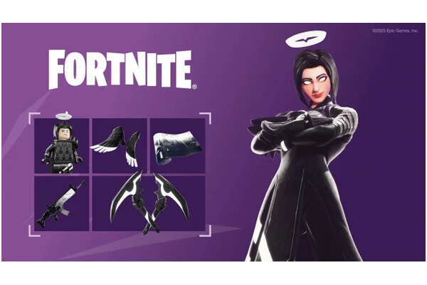 Fortnite Darkfire & Ice Bundle (Zestaw Płomień Mroku i Lód Nintendo Switch