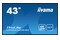 Monitor 43.0" IIYAMA LH4341UHS-B2 czarny