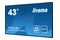 Monitor 43.0" IIYAMA LH4341UHS-B2 czarny