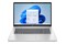 Laptop HP 17 17.3" Intel Core i7-1355U INTEL Iris Xe 16GB 512GB SSD M.2 Windows 11 Home srebrny