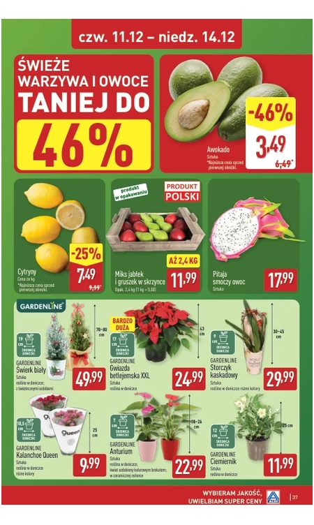 Gazetka Aldi