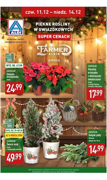 Gazetka Aldi