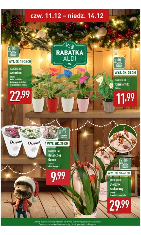 Gazetka Aldi