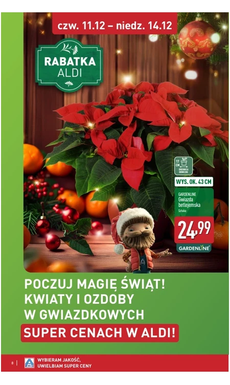 Gazetka Aldi