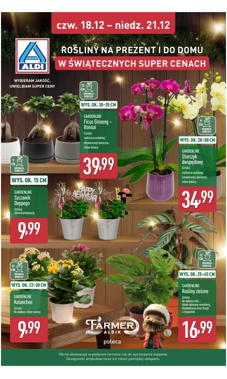 Gazetka Aldi