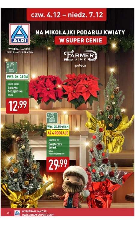 Gazetka Aldi