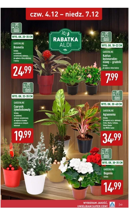 Gazetka Aldi