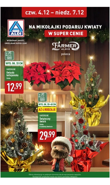 Gazetka Aldi