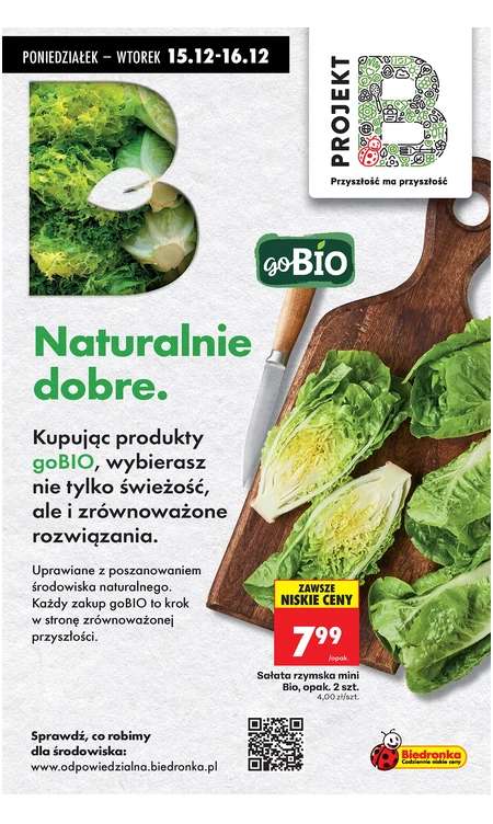 Gazetka Biedronka