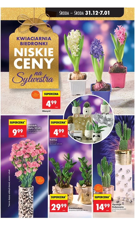 Gazetka Biedronka