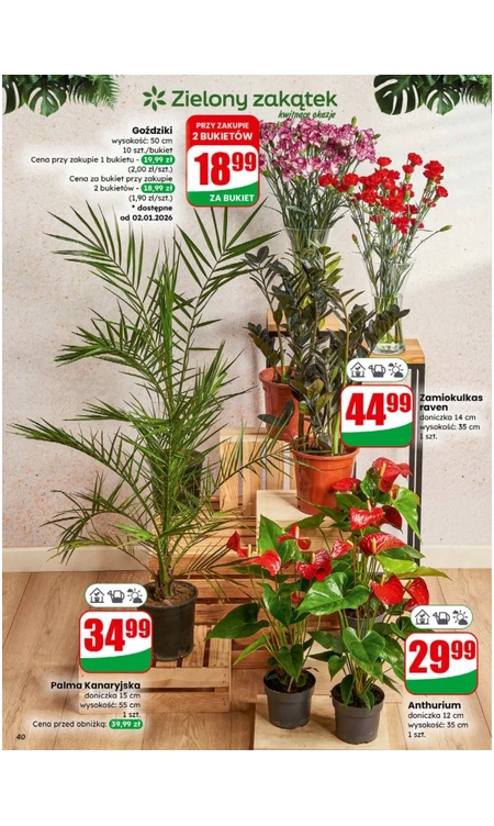 Gazetka Dino