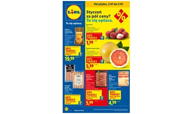 Gazetka Lidl