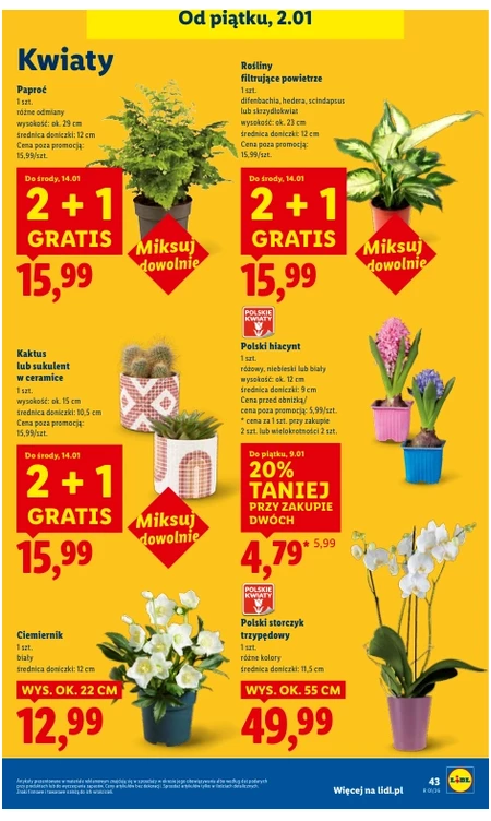 Gazetka Lidl