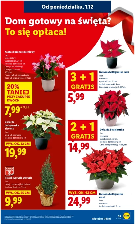 Gazetka Lidl