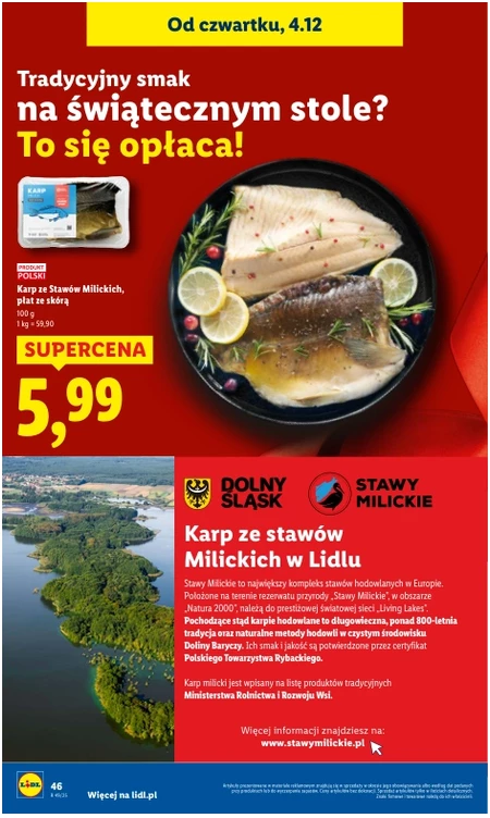 Gazetka Lidl