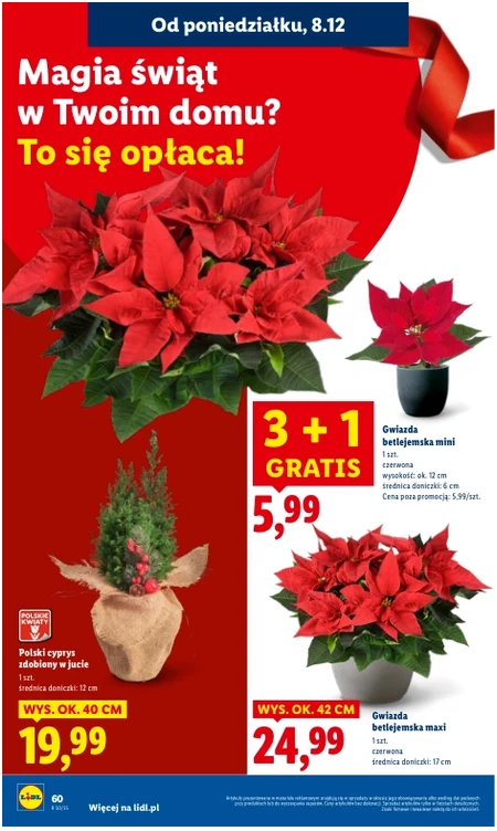 Gazetka Lidl