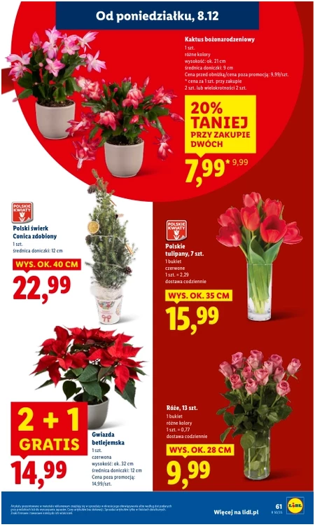 Gazetka Lidl