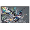 Monitor 31.5" Philips Q-Line 32BDL3511Q/00 czarny