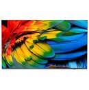 Telewizor Philips 43HFL6214 43" 4K Ultra HD