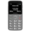 Smartfon Panasonic szary 2.40" poniżej 0.1GB/poniżej 0.5GB