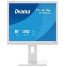 Monitor 19.0" IIYAMA B1980S-W1 biały